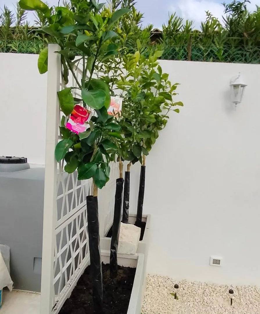 Сasa de vacaciones Villa Isabella Fontane Bianche